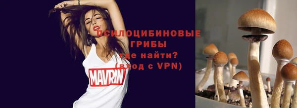 эйфоретик Аркадак
