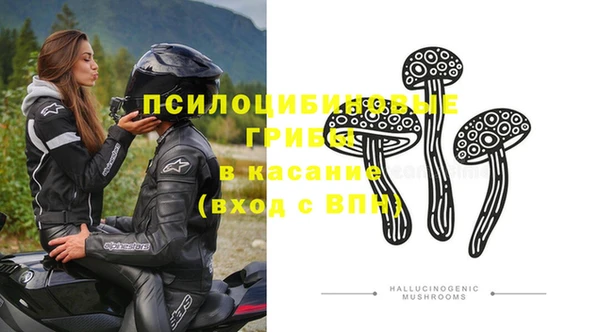 эйфоретик Аркадак
