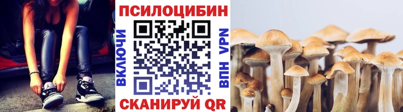Купить где  Устюжна  Псилоцибиновые грибы MAGIC MUSHROOMS 