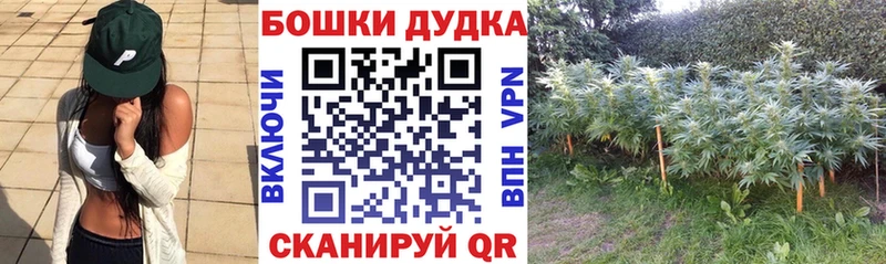 Купить  Устюжна  МАРИХУАНА OG Kush 